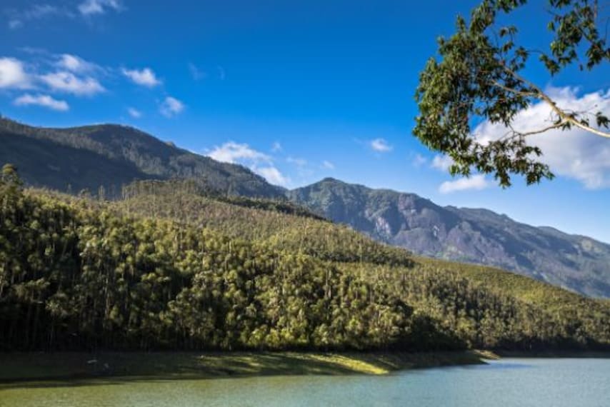 Munnar Echo Point Landscape Image
